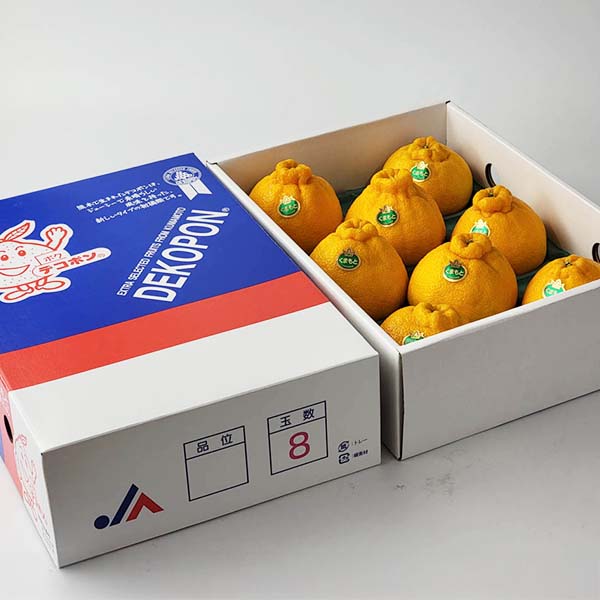 熊本県産 デコポン 3kg【お届け期間:2月1日〜2月28日】【イオンゴールドカード会員さま限定特別セール1月】 商品画像5