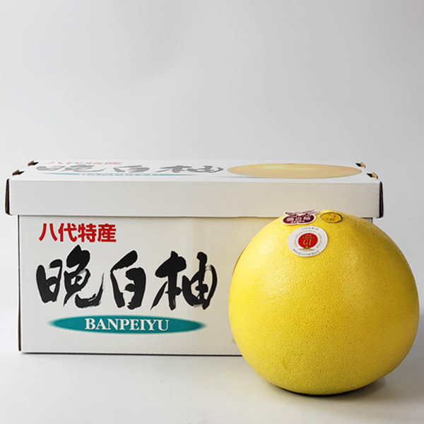 熊本県産 晩白柚 2玉【お届け期間:2月1日〜2月28日】【イオンゴールドカード会員さま限定特別セール1月】 商品画像5