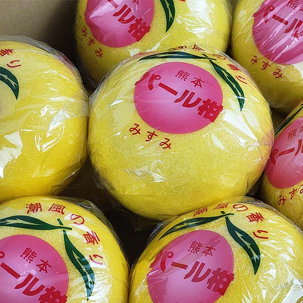 熊本県産 パール柑 6〜8玉【お届け期間:2月1日〜2月28日】【イオンゴールドカード会員さま限定特別セール1月】 商品画像5