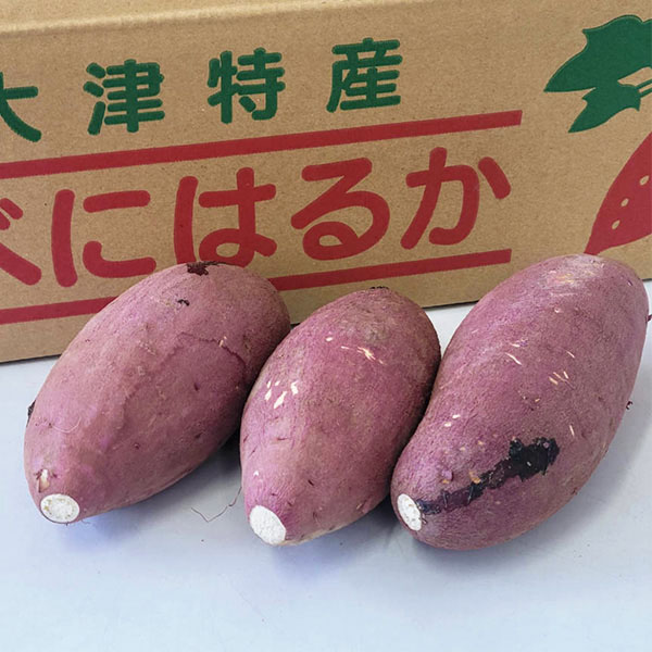 熊本県産 紅はるか 5kg【お届け期間：2月14日〜2月28日】【九州フェア】　商品画像5