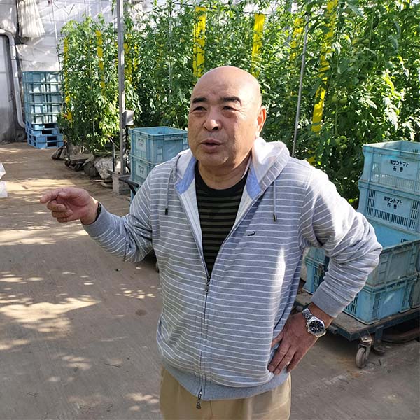 宮城県産 トマト こだわりくん 9〜12個【お届け期間:4月16日〜4月30日】【イオンゴールドカード会員さま限定特別セール4月】 商品画像5