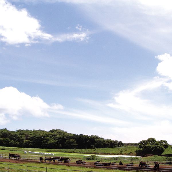 群馬県赤城牛のとりやま赤城牛ともち豚の粗挽き焼き上げハンバーグ4個入「お届け期間」2025/7/1〜2025/9/10【KN】　商品画像5
