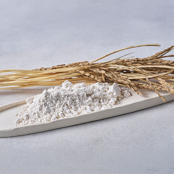 チーズケーキラボseed しあわせの種6個セット【プチギフト】【おいしいお取り寄せ】　商品画像5