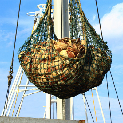 きたに池田 北海道猿払産ほたて貝柱 200g×2【おいしいお取り寄せ】　商品画像5