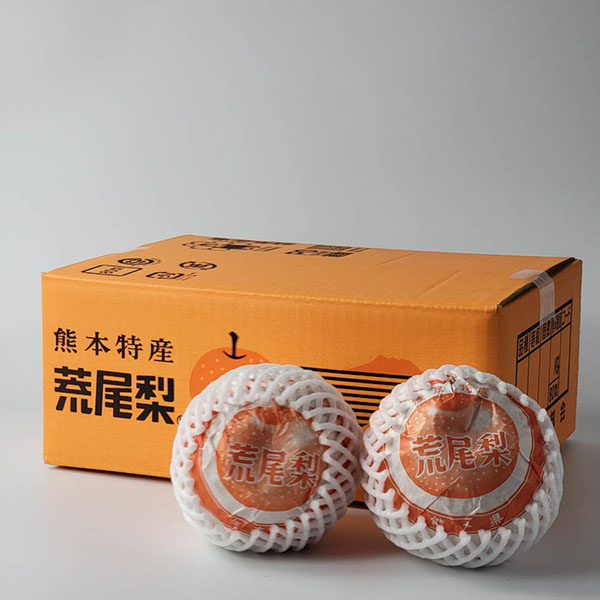 熊本県産 荒尾ジャンボ梨 秀品 2玉 【お届け期間：10月1日〜10月20日】【秋のうまいもの市】　商品画像5