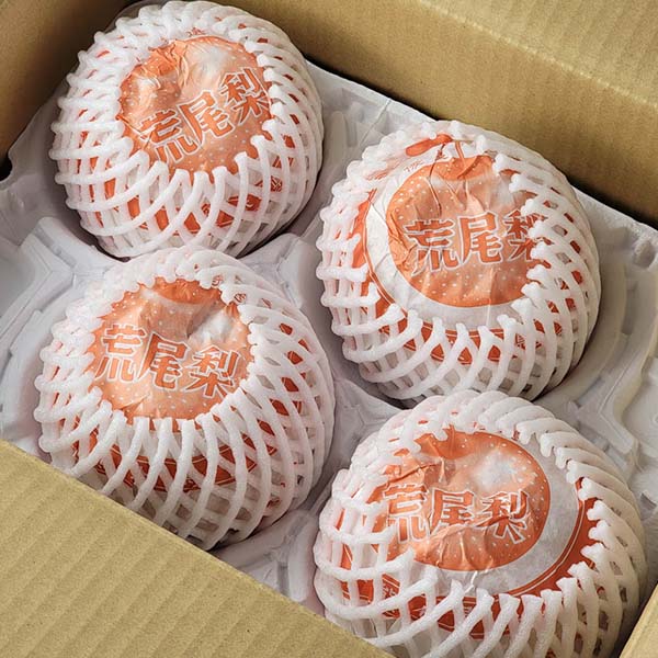熊本県産 荒尾ジャンボ梨 秀品 4〜6玉【お届け期間：10月1日〜10月20日】【秋のうまいもの市】　商品画像5