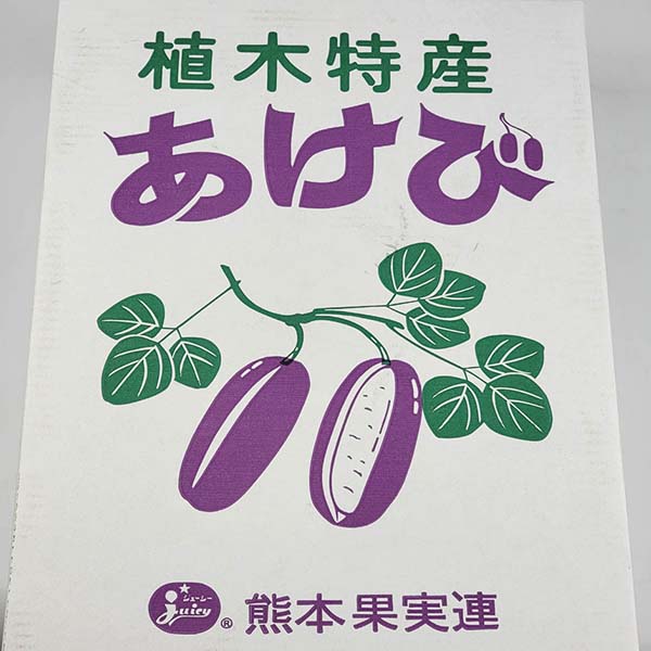 黄色いくまさん　青森岩木山採取　あけび蔓　150cm～ 15kg　1 黄色いくまさん 青森岩木山採取 あけび蔓 150cm～ 15kg 2 黄色い