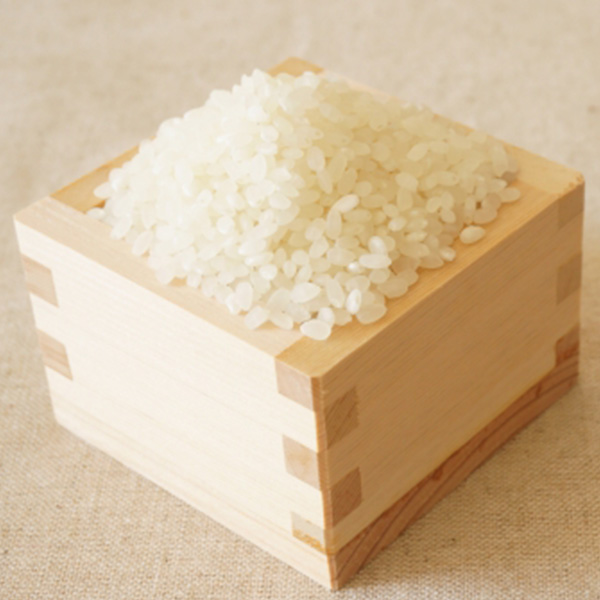 【令和7年産】【精米】千葉県産コシヒカリ 5kg【おいしいお取り寄せ】　商品画像5