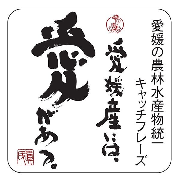 愛媛県産 中島育ちみかん 青秀 5kg【お届け期間：12月10日〜12月28日】【おいしいお取り寄せ】　商品画像4