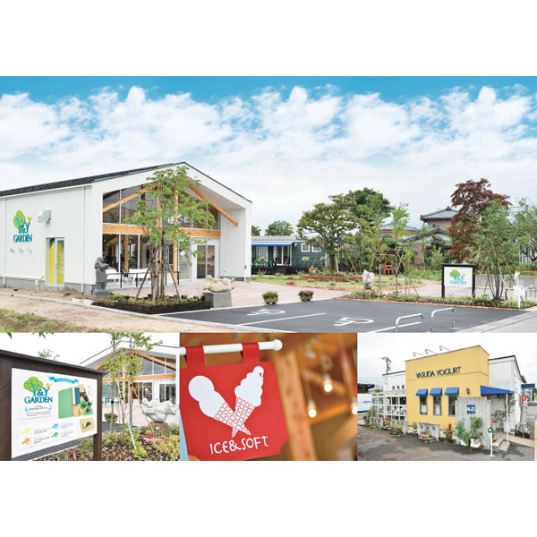 新潟 ヤスダヨーグルトヤスダヨーグルトギフト G1950【KN】　商品画像5