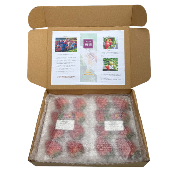 兵庫県産(イオン三木里脇農場)イオン農場いちご(スターナイト・紅ほっぺ)1箱2パック入り(250g×2)【お届け期間:3月7日〜3月31日】【NN】　商品画像5