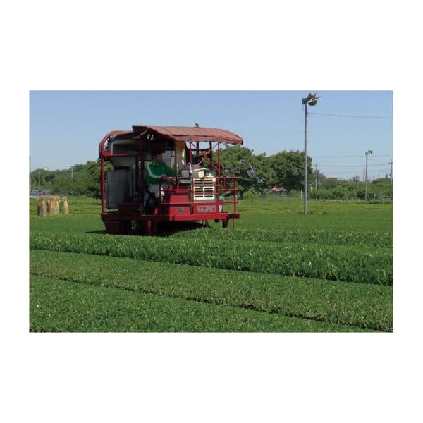 埼玉 新井園本店 新茶 狭山茶詰合せ 袋(80g×2袋)【KN】　商品画像5