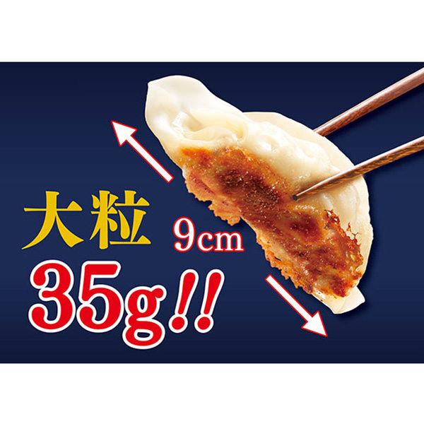 八洋食品 博多旨味あごだし餃子 ウマミアゴダシギョウザ【＠FROZEN】　商品画像5