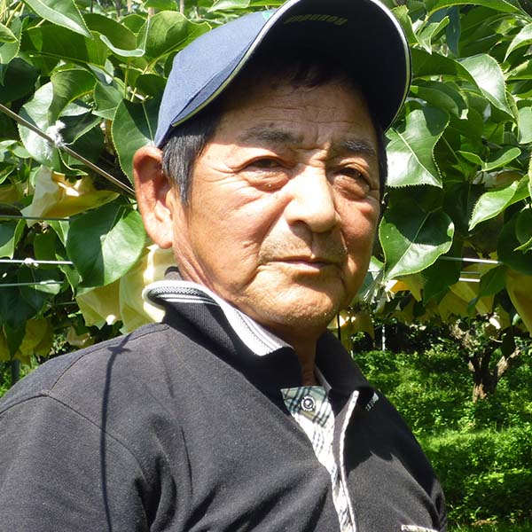 鳥取県産 野津さんの二十世紀梨 赤秀 5kg【限定100点】【お届け期間:8月20日〜9月25日】【おいしいお取り寄せ】 商品画像5