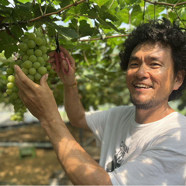 岡山県産(岡山市) 坂本さんのマスカットオブアレキサンドリア 600g以上・1房入り【お届け期間:9月10日〜10月20日】【NN】　商品画像5