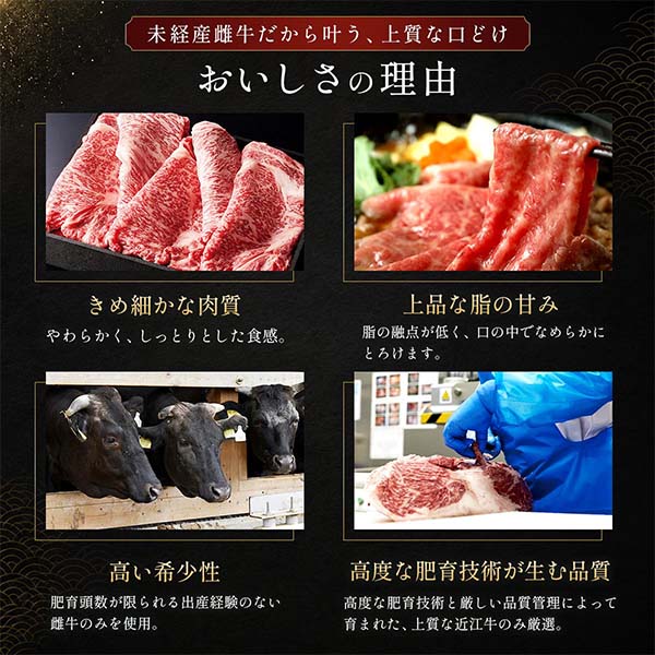 滋賀 近江牛 希少部位6種盛(部位ランダム) 500g【ブラックフライデー】【NN】　商品画像5