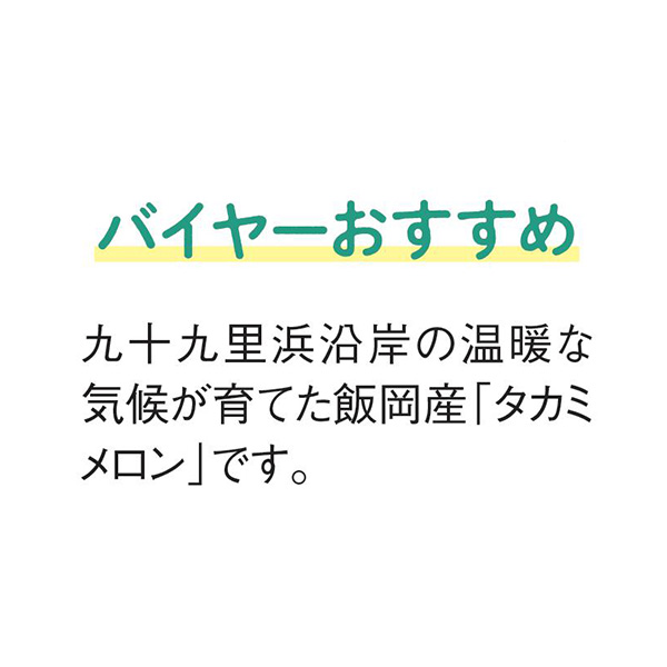 千葉県産(JAちばみどり) タカミメロン(お届け期間：6/17〜7/30)【夏の贈りもの・お中元】　商品画像6