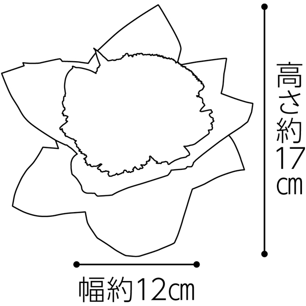 竹中庭園緑化 カーネーションアレンジ＋神戸スイーツポート コベの樹【母の日】　商品画像6
