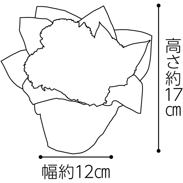竹中庭園緑化 父の日フラワーアレンジ＋甘美 どら焼き＆スイートポテト【父の日】　商品画像6