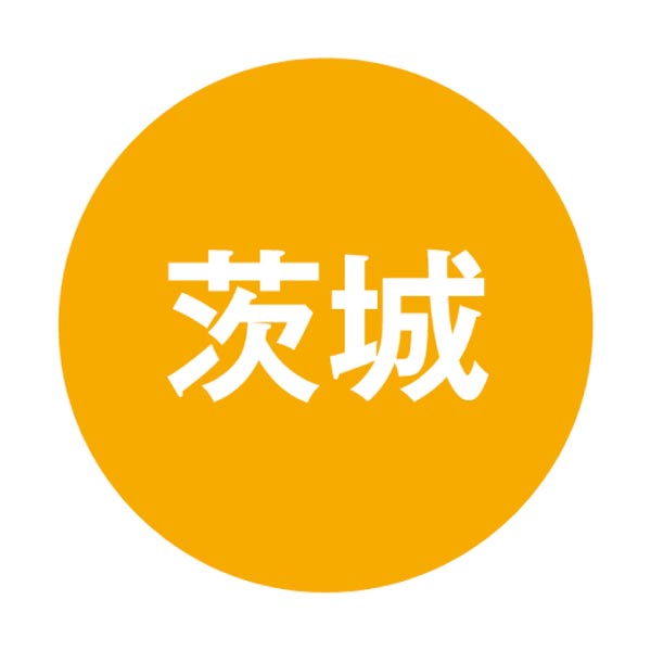 茨城県 ひたちなか市産 ニチノウ飛田商店 干し芋(紅はるか) (お届け期間：11/11〜12/31)【冬ギフト・お歳暮】　商品画像6