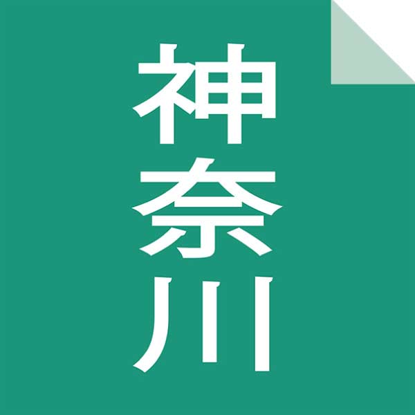 駿河屋本舗 レンジでカンタン 鎌倉コロッケ・黄金メンチ【夏の贈りもの・お中元】[SH-MC2]　商品画像6