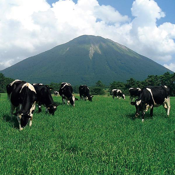 ヨーグルト フォーシーズンズ フローズンヨーグルトセット8個入【夏の贈りもの・お中元】[FY50]　商品画像6