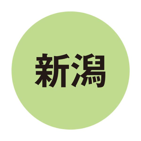 セイヒョー 新潟ご当地アイスセット ’26【夏の贈りもの・お中元】[10001899]　商品画像6