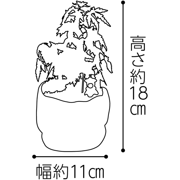 新月バラ園 親父の手(SUSTEE付)＋鹿児島小田口屋 さつま揚げ【父の日】　商品画像6