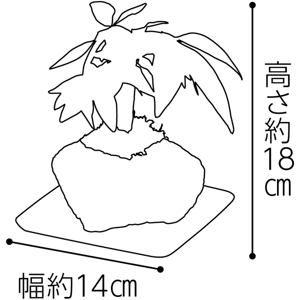 SUNCOF パキラの木ナチュレストーン植え(SUSTEE付)＋東京堂 焼き甘芋チーズケーキ【父の日】　商品画像6