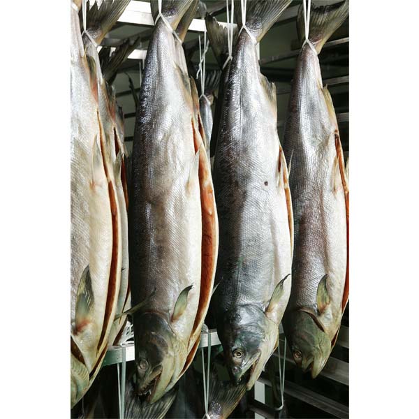 NSニッセイ 北海道認証 14日間熟成新巻鮭　姿切身半身【おいしいお取り寄せ】　商品画像6