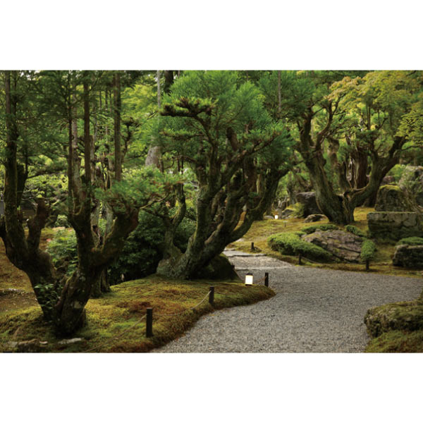 京都しょうざん 和の個食おせち＆オードブル二段三重【2人前・46品目】【イオンのおせち】　商品画像6