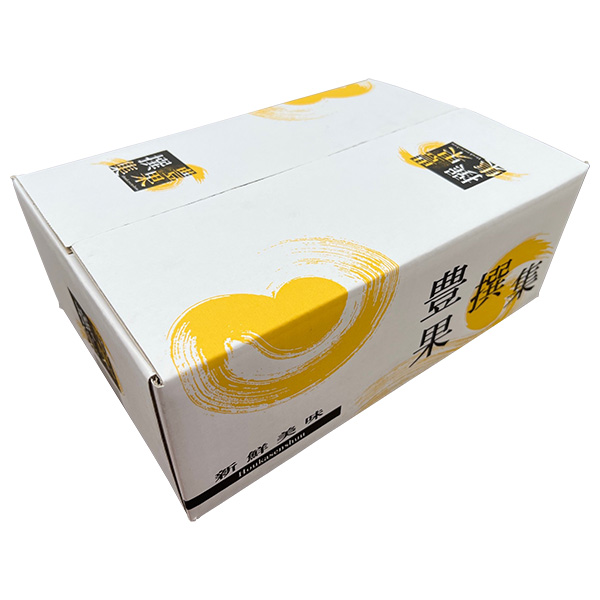 静岡県産(三ケ日) 熟果みかん 青島種 5kg【お届け期間:1月5日〜1月31日】【お買い得セール12月】 商品画像5