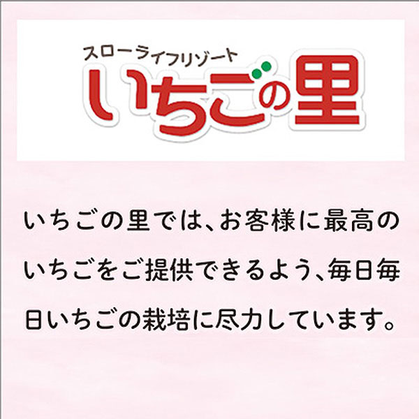 (栃木県)いちごの里ファームカーンズチョコ いちごザッハトルテ【お届け期間2025/1/11-2025/3/7】【ふるさとの味・北関東】　商品画像6