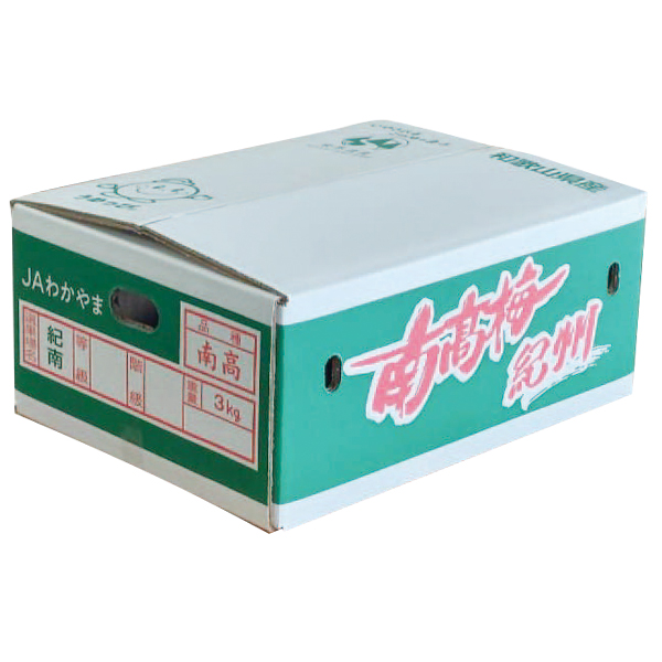 和歌山県産 JAわかやま(紀南地域本部)南高梅(4Lサイズ 3kg)秀品 4Lサイズ 3kg(お届け期間:6月1日〜7月7日)【旬鮮便】【NN】　商品画像5