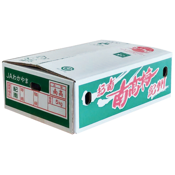 和歌山県産 JAわかやま(紀南地域本部)南高梅(4Lサイズ 5kg)秀品 4L