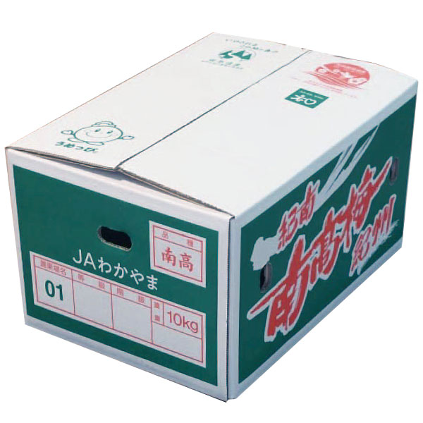 和歌山県産 JAわかやま(紀南地域本部)南高梅(4Lサイズ 10kg)秀品 4Lサイズ 10kg(お届け期間:6月1日〜7月7日)【旬鮮便】【NN】　商品画像5