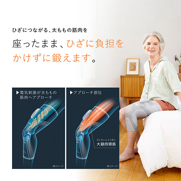 MTG SIXPAD Knee Fit Sサイズ(R4673)【雑貨】　商品画像6