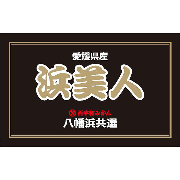 愛媛県産(JAにしうわ) みかん 浜美人 5kg(L〜S)【限定1000点】【お届け期間：11月20日〜12月15日】【ブラックフライデー】　商品画像6