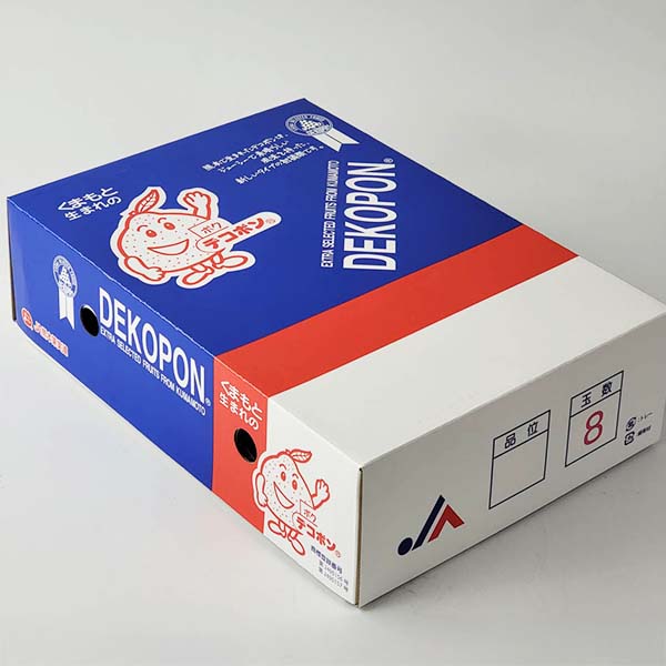 熊本県産 デコポン 3kg【お届け期間:2月1日〜2月28日】【イオンゴールドカード会員さま限定特別セール1月】 商品画像6