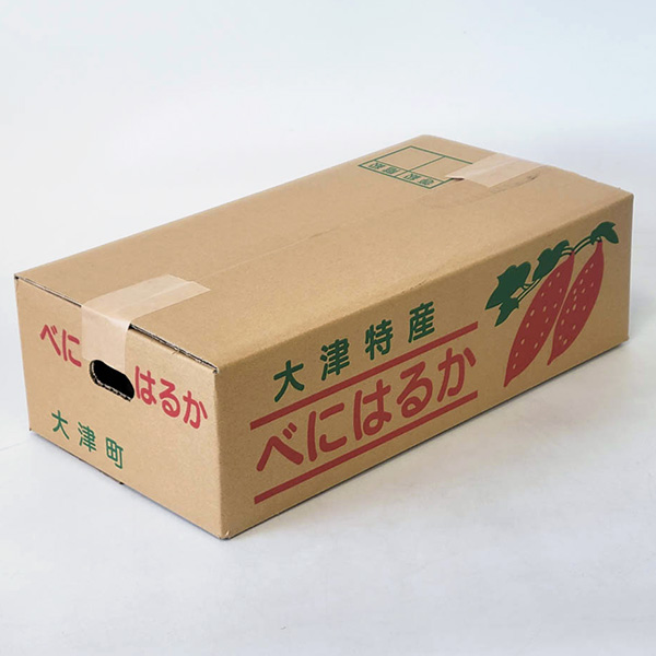 熊本県産 紅はるか 5kg 【お届け期間：2月1日〜2月28日】【お買い得セール1月】　商品画像6