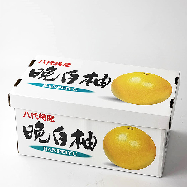 熊本県産 晩白柚 2玉【お届け期間:2月1日〜2月28日】【イオンゴールドカード会員さま限定特別セール1月】 商品画像6