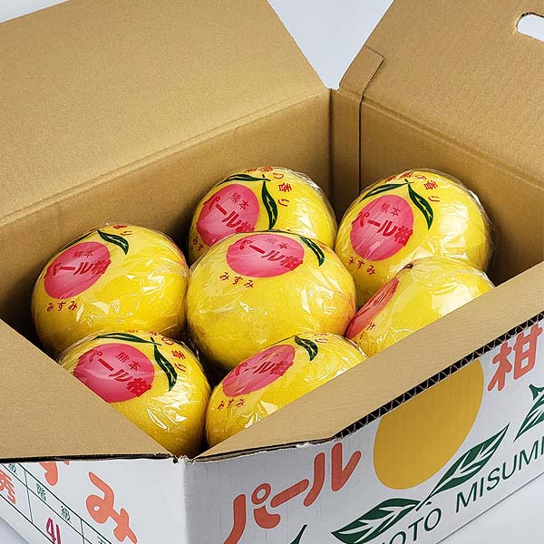 熊本県産 パール柑 6〜8玉【お届け期間:2月1日〜2月28日】【イオンゴールドカード会員さま限定特別セール1月】 商品画像6