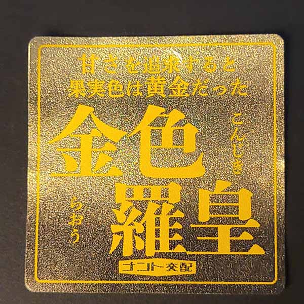 熊本県産 すいか 金色羅皇 4L〜2Lサイズ 1玉【お届け期間：5月18日〜6月15日】【おいしいお取り寄せ】　商品画像6