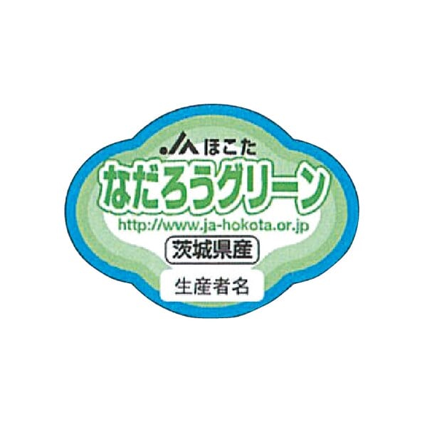 茨城県 JAほこた メロン2種ミックス 3Lサイズ2玉入(なだろうグリーン・クインシー)【お届け期間:6月8日〜6月30日】【KN】　商品画像5