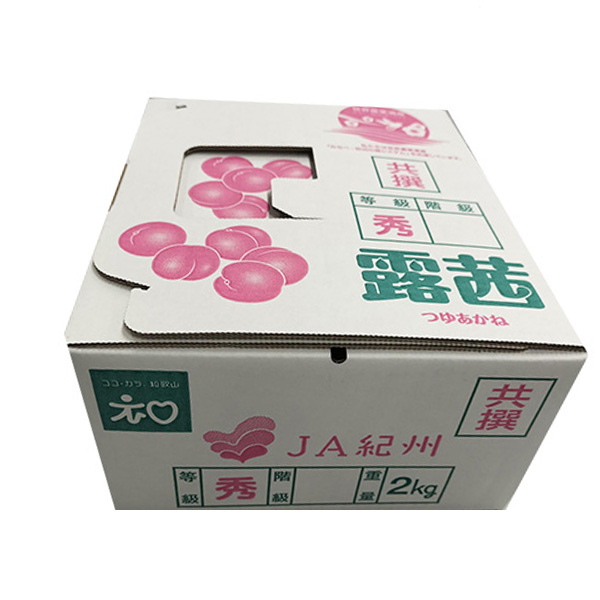 和歌山県産 JAわかやま(紀州地域本部)青梅 露茜(つゆあかね) 3L寸 2kg【限定30点】【お届け期間：6月10日〜7月18日】【おいしいお取り寄せ】　商品画像6