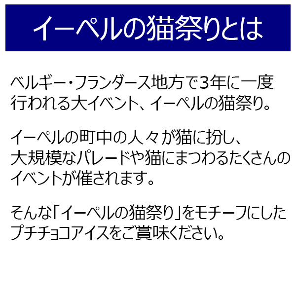ハーゲンダッツ＆イーペルの猫祭り プチチョコアイス[A-HEP-AE]【おいしいお取り寄せ】　商品画像6