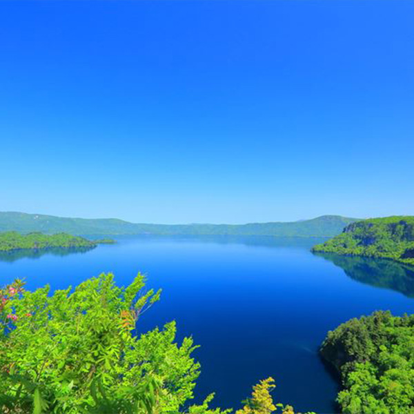 【令和7年産】【精米】青森県 産青天の霹靂5kg【おいしいお取り寄せ】 商品画像6
