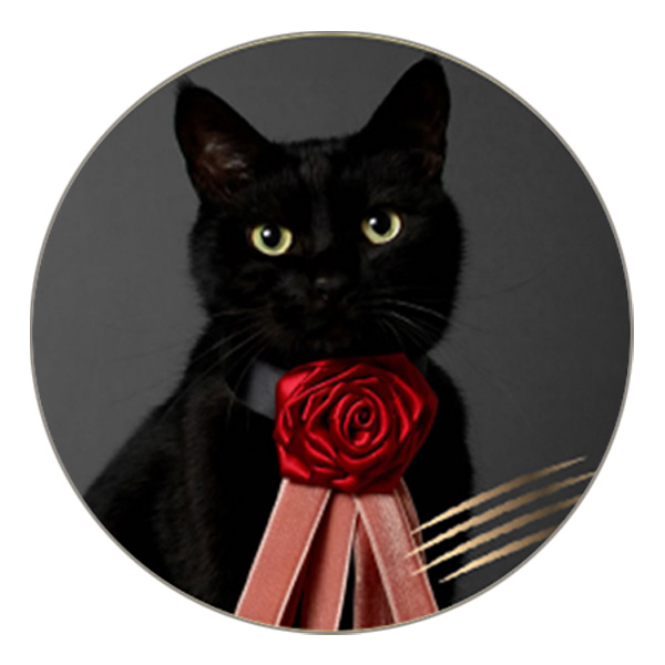 DADACA CACAOCAT缶NOIR チョコレート菓子5個入【お届け期間:1月15日〜2月21日】【バレンタイン】 商品画像6