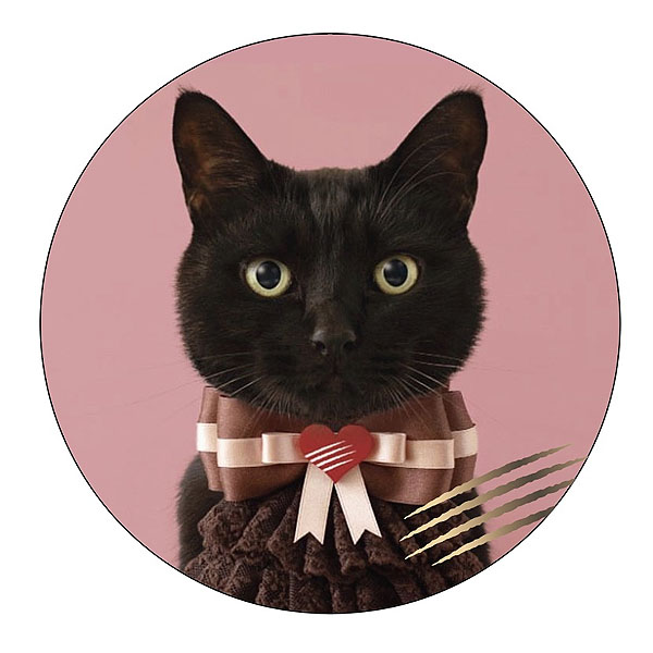 DADACA I love CACAOCAT缶 チョコレート菓子5個入【お届け期間:1月15日〜2月21日】【バレンタイン】 商品画像6