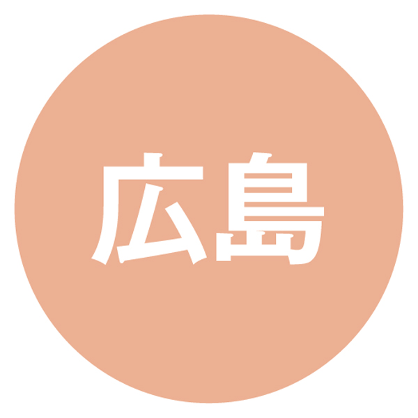 広島 味感工房 広島ご当地お好み焼4食セット 広島流お好み焼・尾道焼き・府中焼き・三原焼き 各350g、ソース30g×8、青さのり0.2g×4【NN】　商品画像6